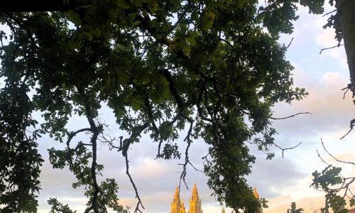 3 Days in Galicia: An Unforgettable Itinerary