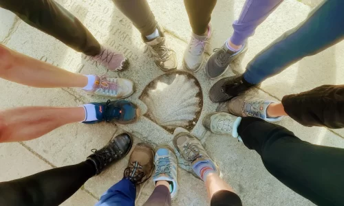 The primary routes of the Camino de Santiago and the Spiritual Variant in Galicia